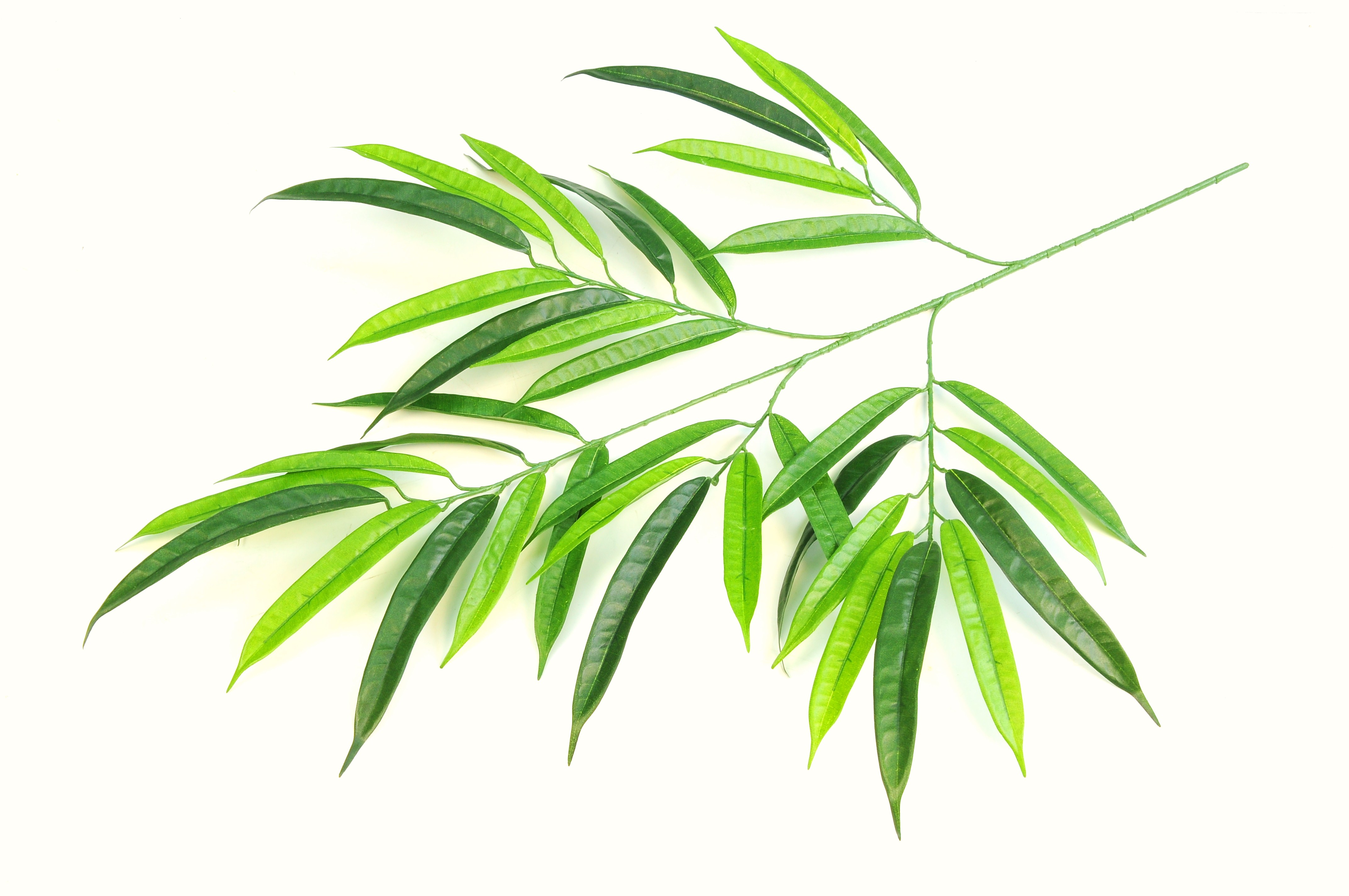 DELUXE LONGIFOLIA SPRAY